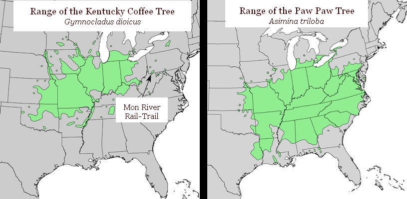 The Range of the Paw Paw and Kentucky Coffee Trees