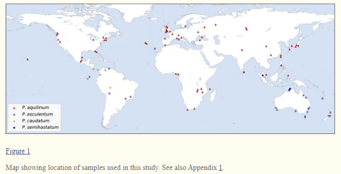 Pteridium map