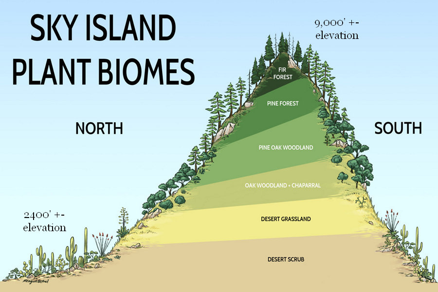 Sky Island Biomes