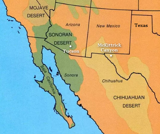 Southwestern Deserts