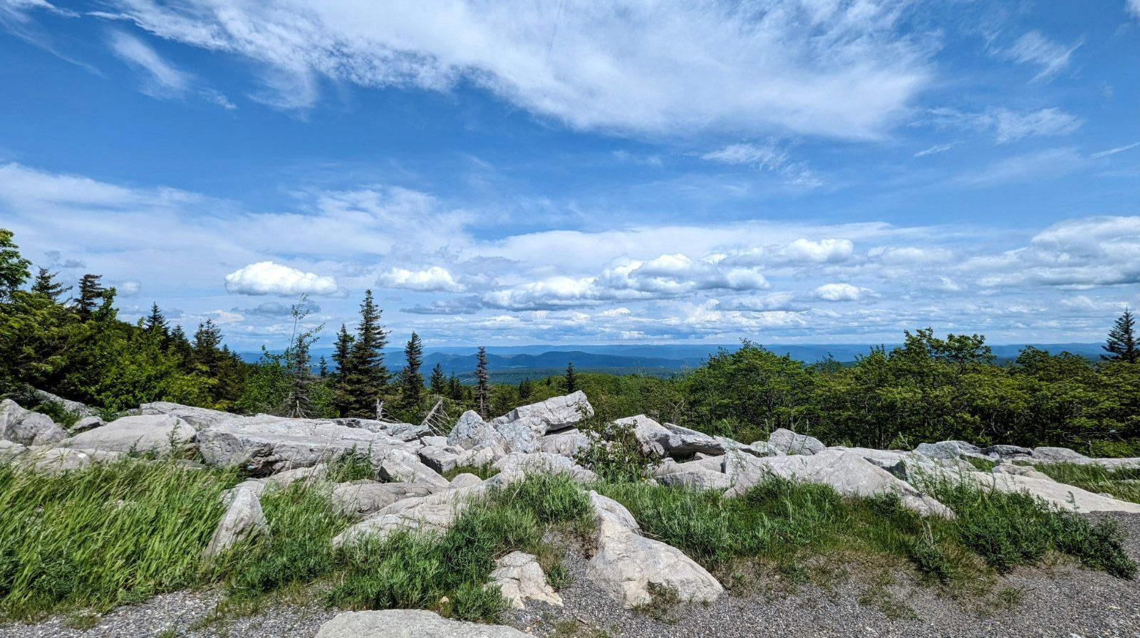 Dolly Sods Landscape by Abhijeet Ajay Gupta