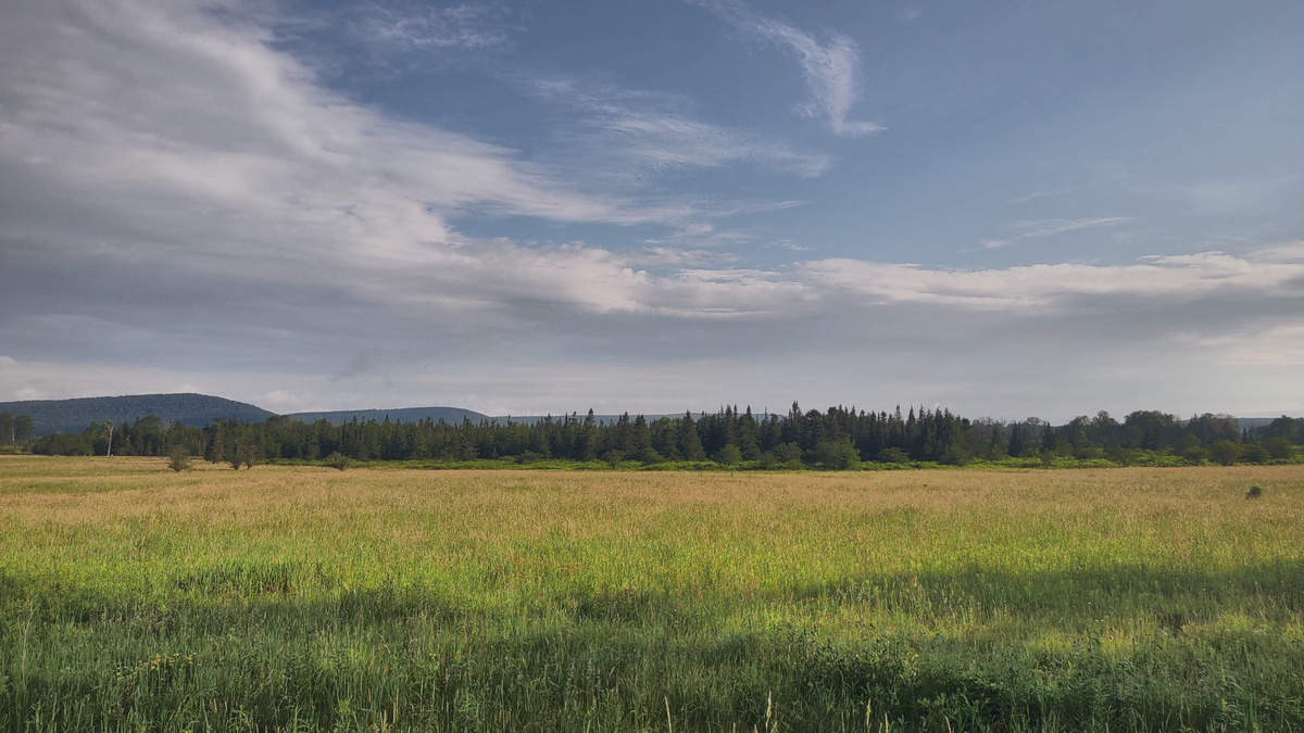 A Week In The Heart of The Highlands of West Virginia - Photo by Mike Breiding