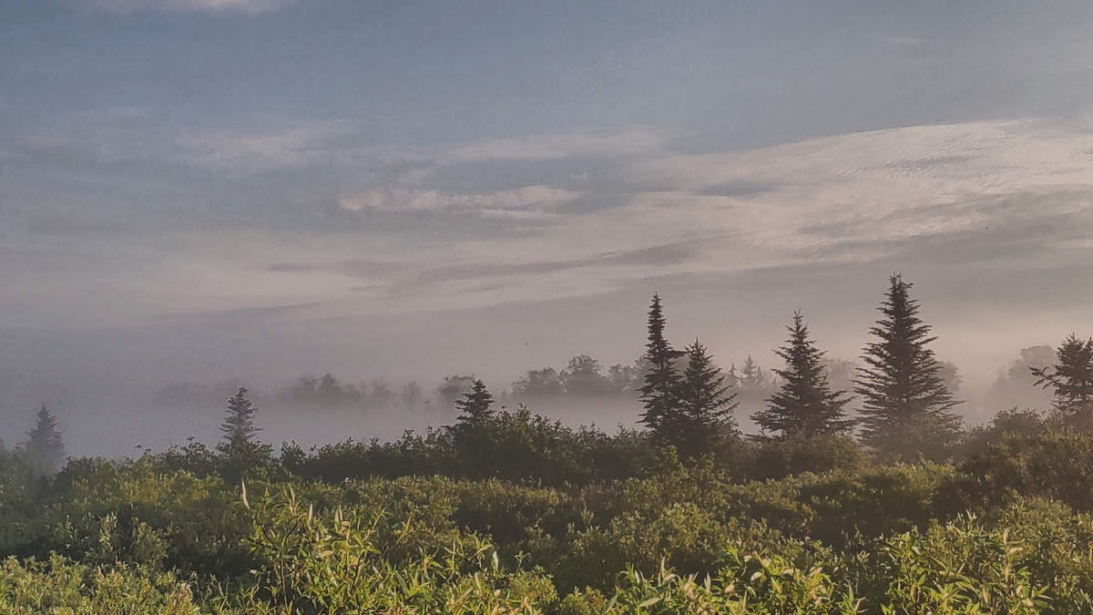 A Week In The Heart of The Highlands of West Virginia - Photo by Mike Breiding