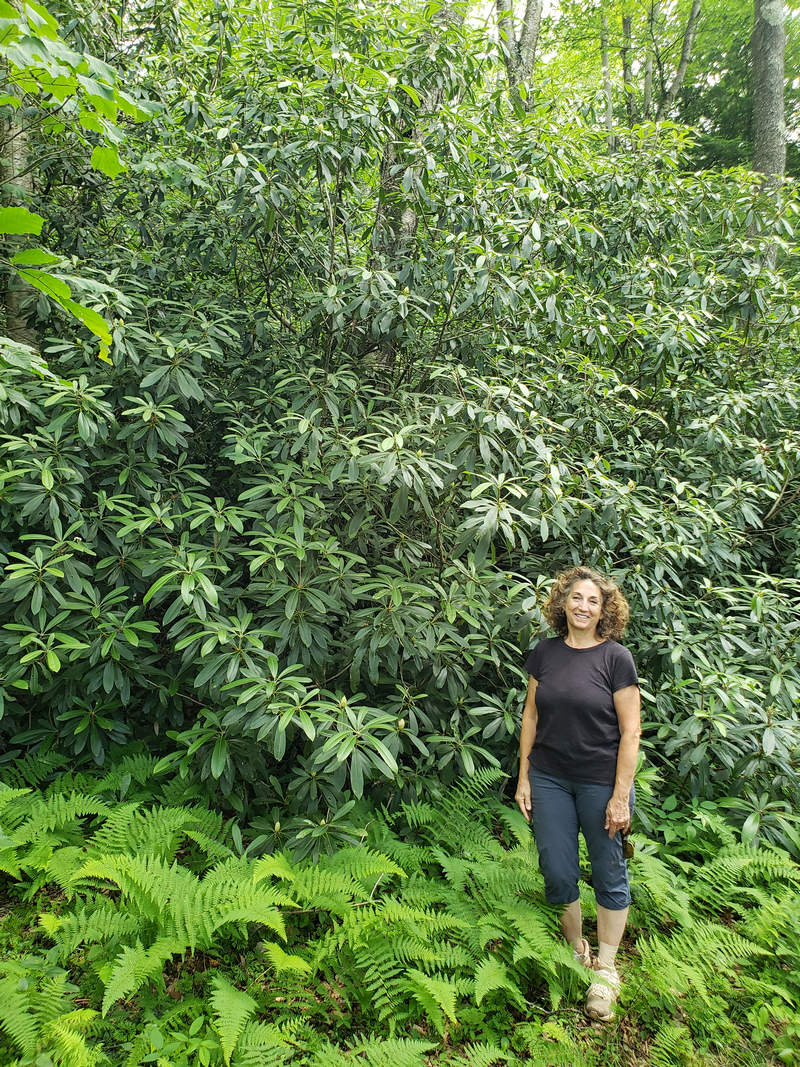 A Week In The Heart of The Highlands of West Virginia - Photo by John Williamson