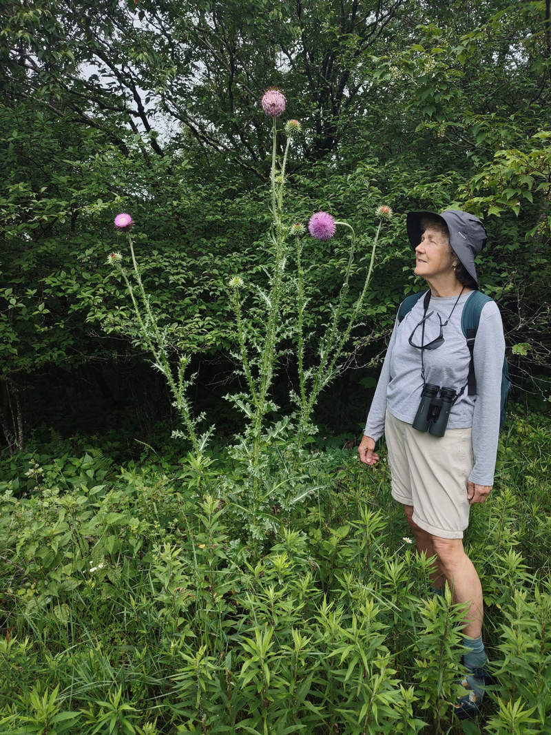 A Week In The Heart of The Highlands of West Virginia - Photo by Mike Breiding