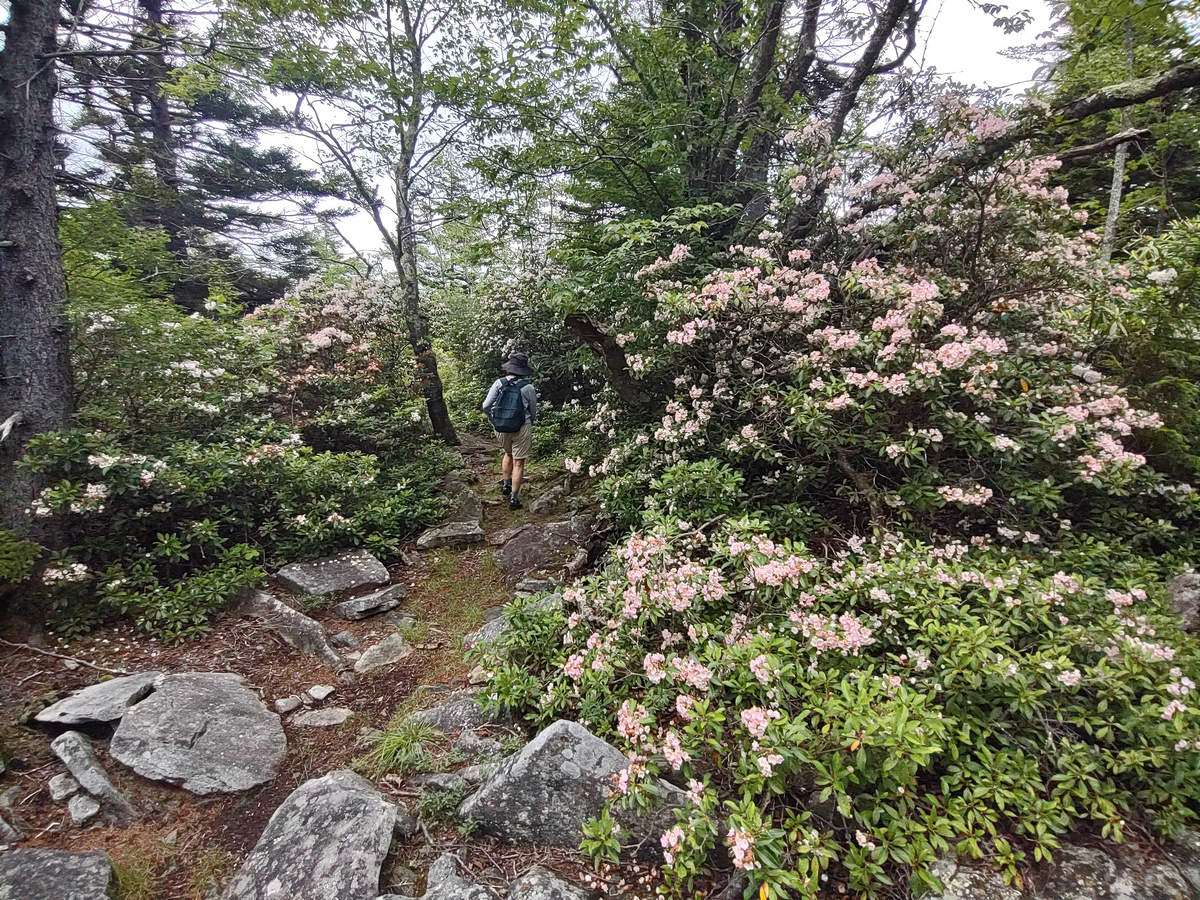 A Week In The Heart of The Highlands of West Virginia - Photo by Mike Breiding