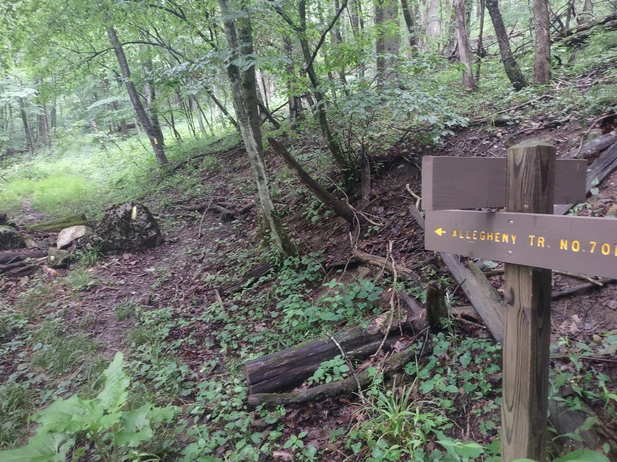 A Week In The Heart of The Highlands of West Virginia - Photo by Mike Breiding