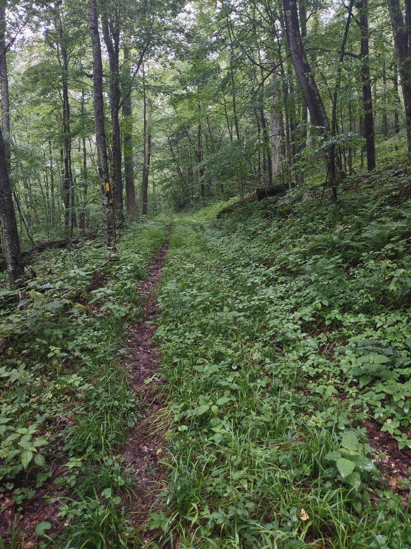 A Week In The Heart of The Highlands of West Virginia - Photo by Mike Breiding