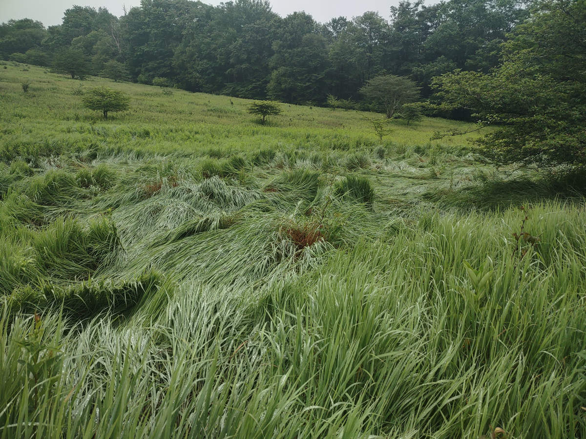 A Week In The Heart of The Highlands of West Virginia - Photo by Mike Breiding