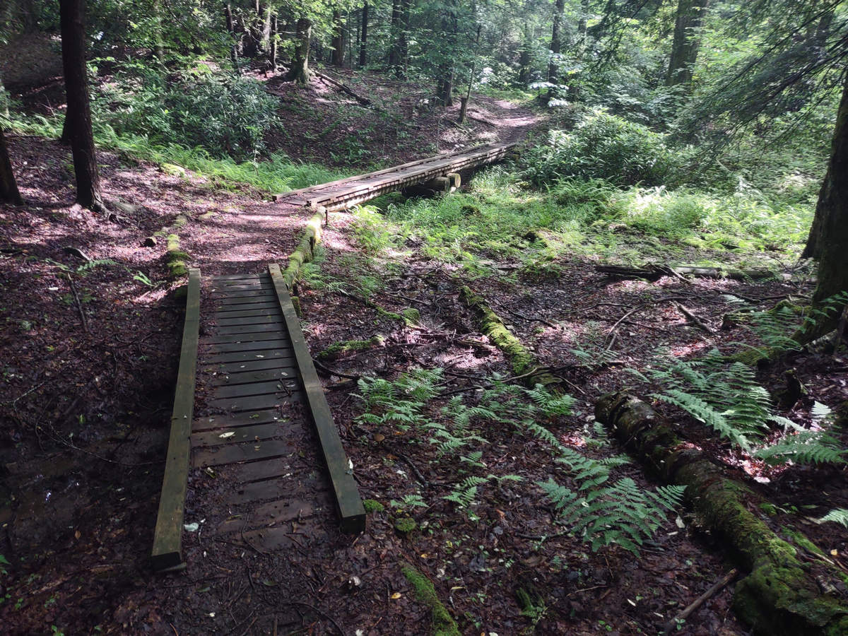 A Week In The Heart of The Highlands of West Virginia - Photo by Mike Breiding