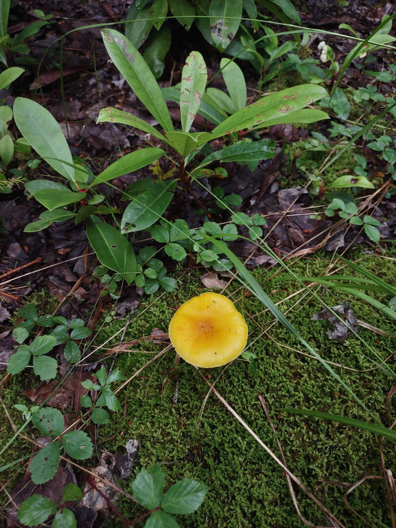 A Week In The Heart of The Highlands of West Virginia - Photo by Mike Breiding