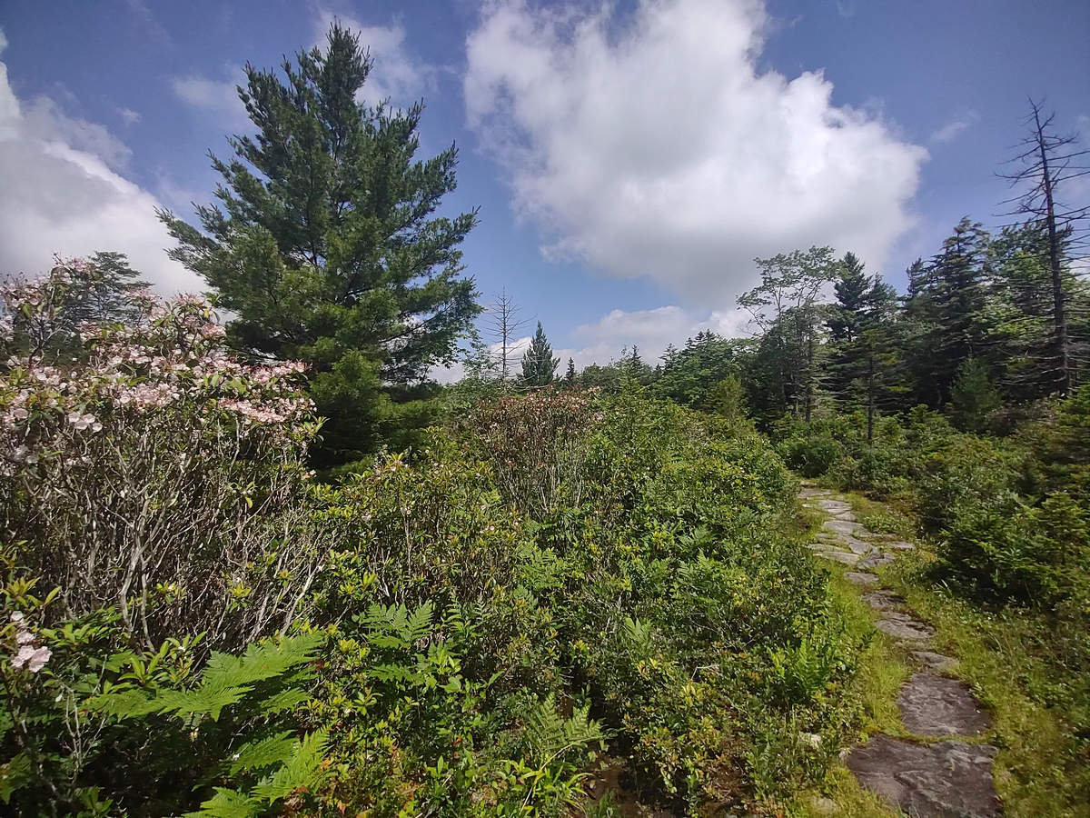A Week In The Heart of The Highlands of West Virginia - Photo by Mike Breiding