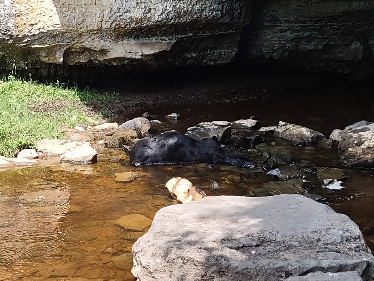 A Week In The Heart of The Highlands of West Virginia - Photo by Mike Breiding