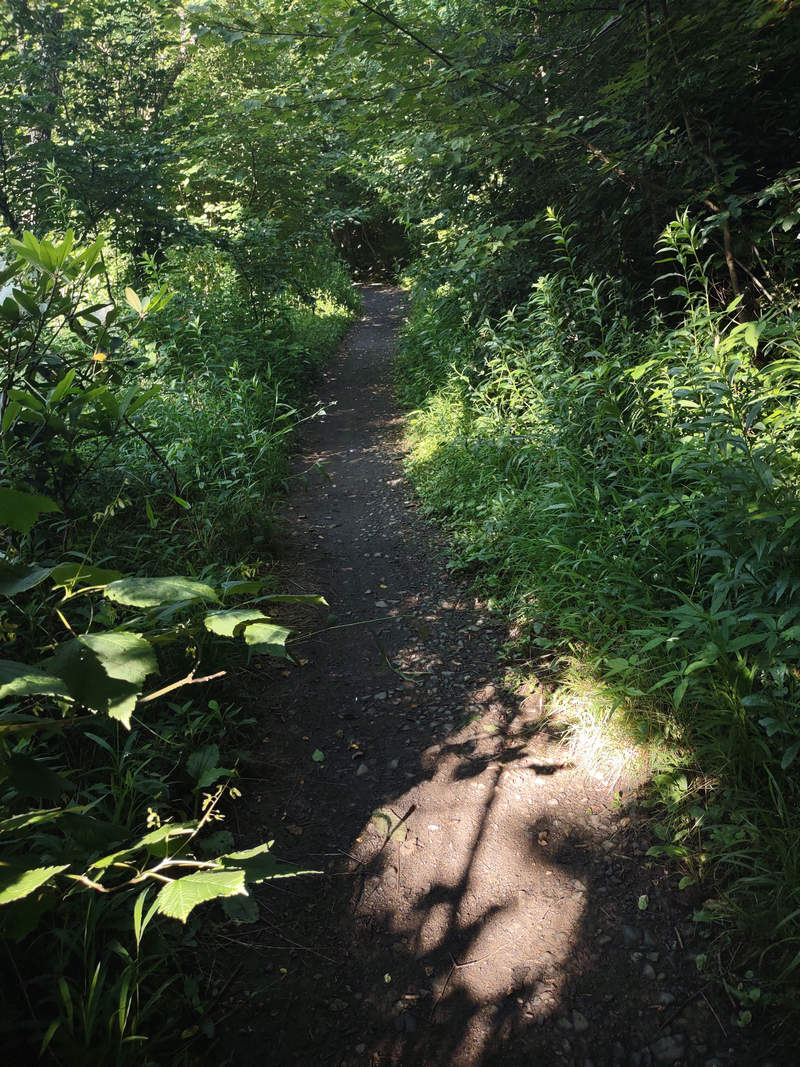 A Week In The Heart of The Highlands of West Virginia - Photo by Mike Breiding