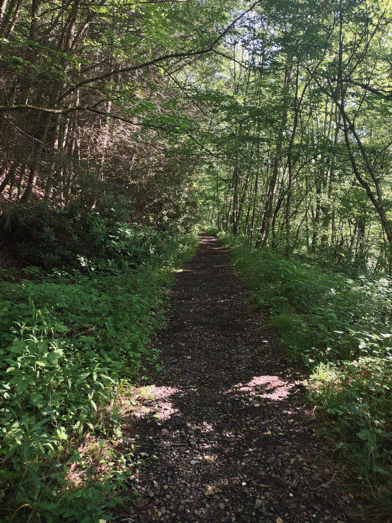 A Week In The Heart of The Highlands of West Virginia - Photo by Mike Breiding