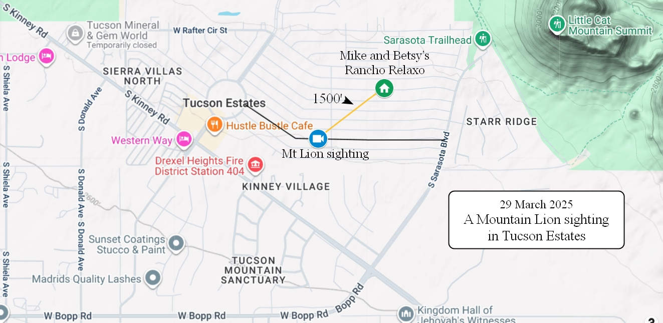 map-showing-mountain-lion-sighting-in-tucson-estates