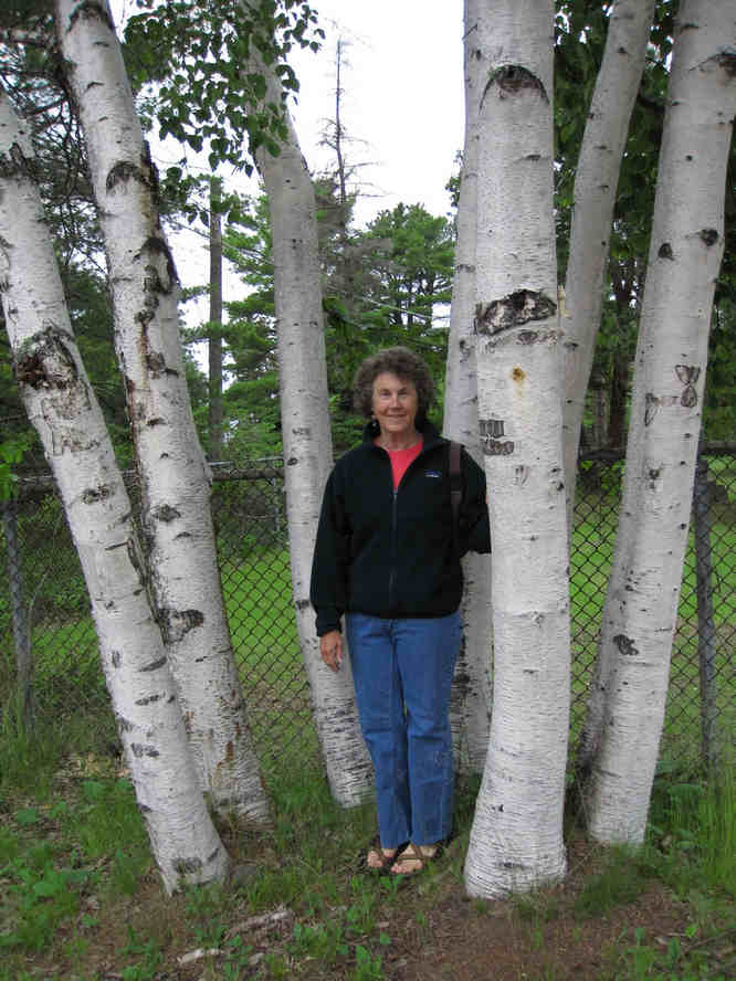Betsy and White Birch: Baraga Michigan 2010 Betsy and White Birch: Baraga Michigan 2010