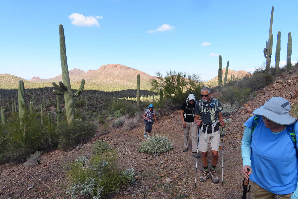 Photo by Mike Breiding - Click for larger image