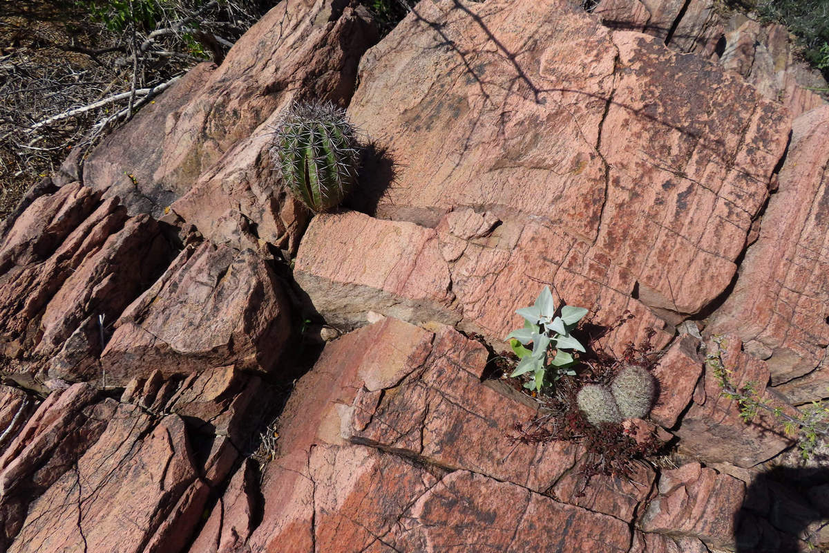 Photo by Mike Breiding - Click for larger image