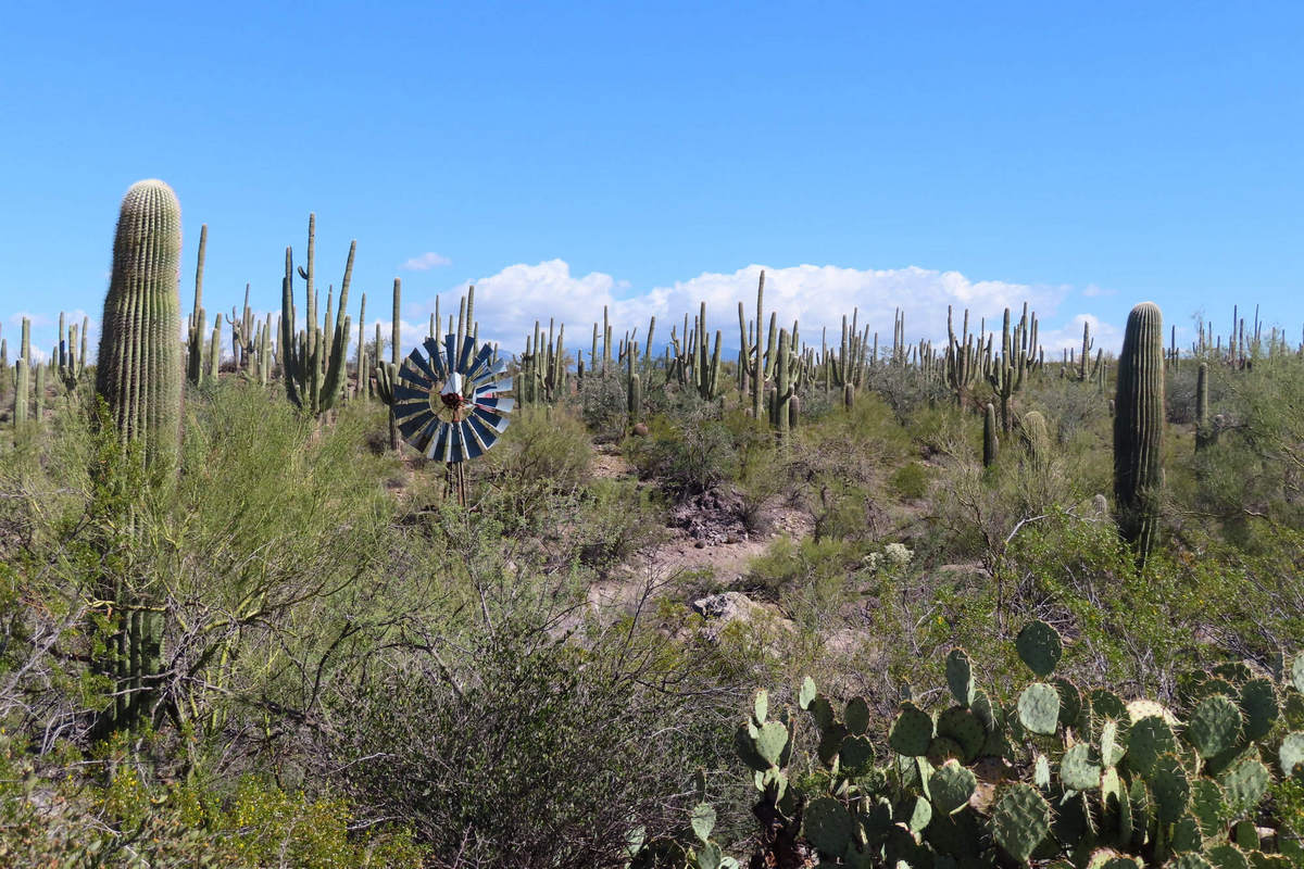 Photo by Mike Breiding - Click for larger image