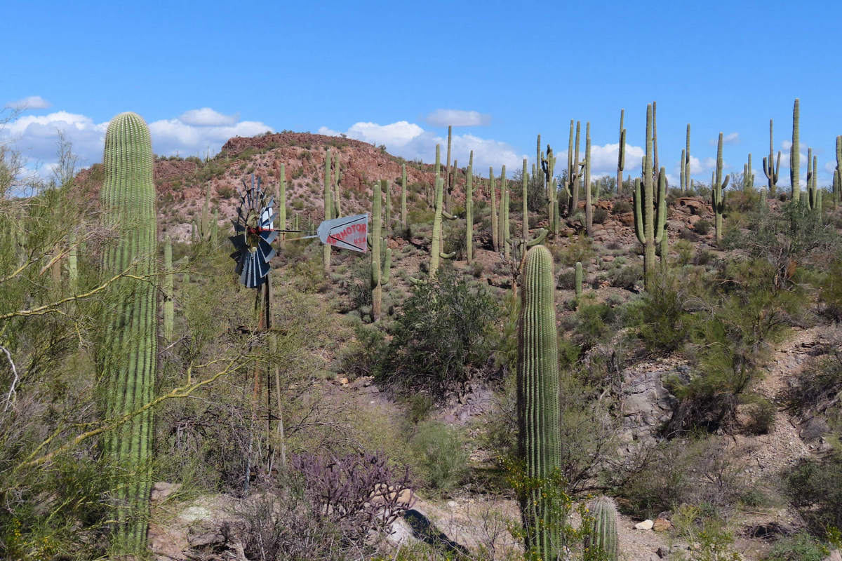 Photo by Mike Breiding - Click for larger image