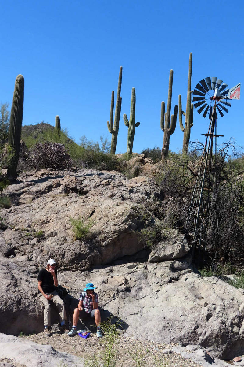 Photo by Mike Breiding - Click for larger image