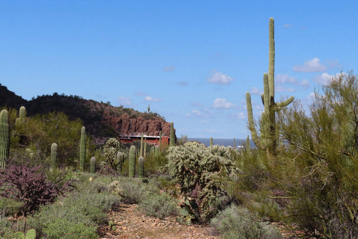 Photo by Mike Breiding - Click for larger image