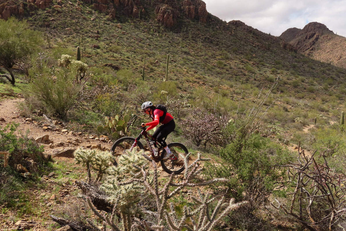 Photo by Mike Breiding - Click for larger image