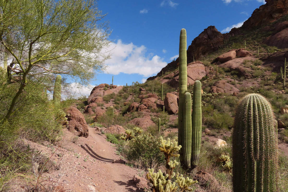 Photo by Mike Breiding - Click for larger image