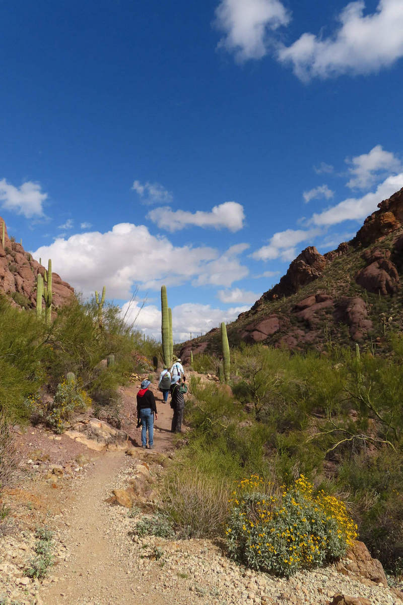 Photo by Mike Breiding - Click for larger image