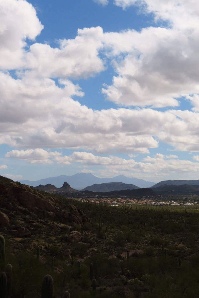 Photo by Mike Breiding - Click for larger image