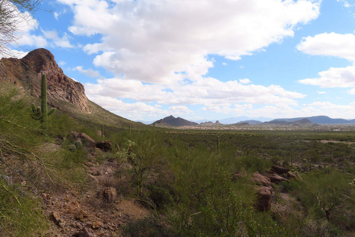 Photo by Mike Breiding - Click for larger image