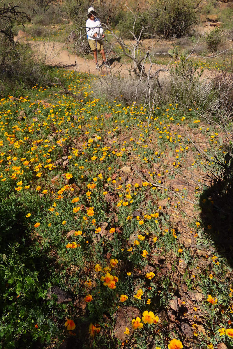 Photo by Mike Breiding - Click for larger image