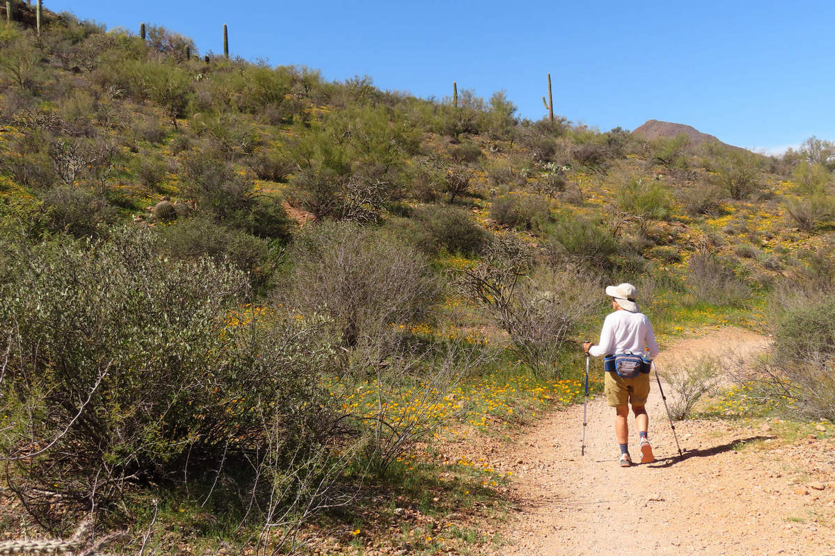 Photo by Mike Breiding - Click for larger image