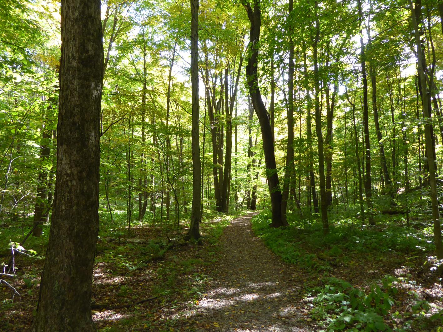 Poking Around in Bedford County, Pennsylvania: Three Roadside Monuments by Craig Mains 