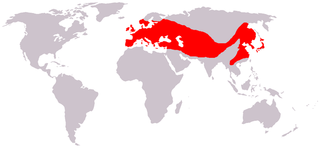 Rook: range map