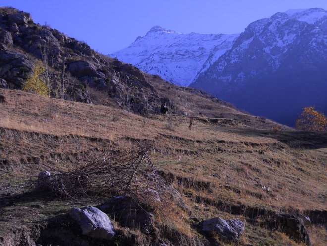 Photo by Craig Mains
