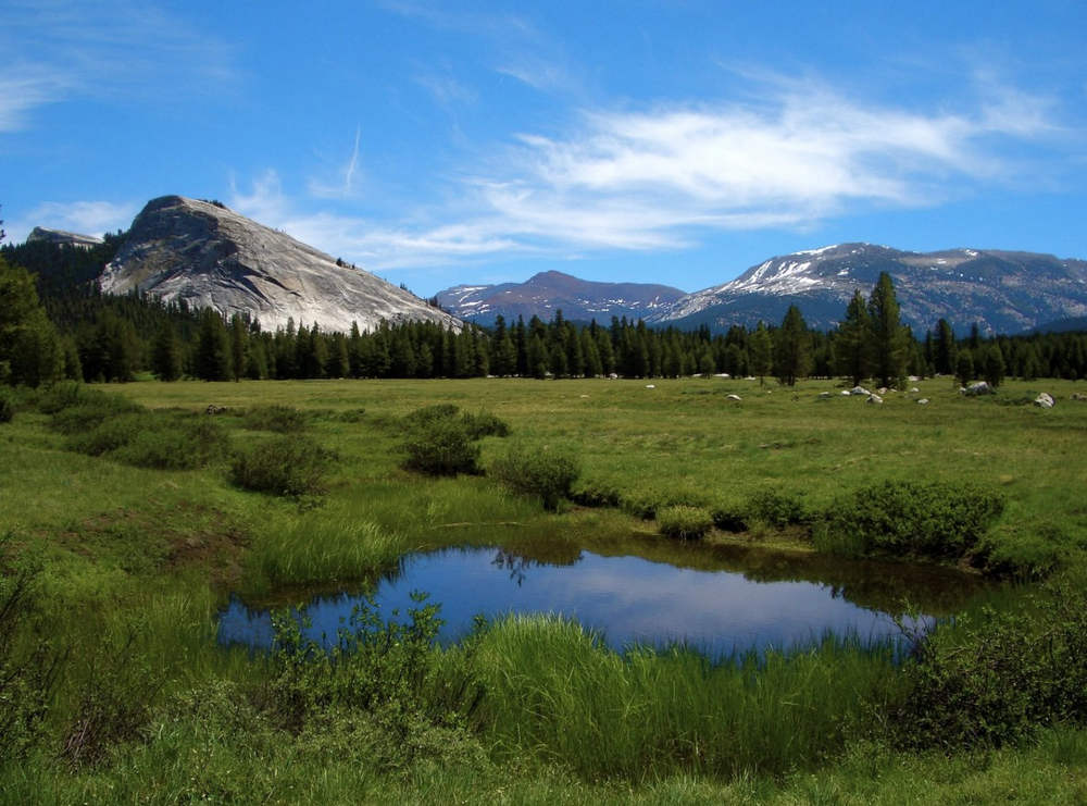 A view of the sub-alpine Tuolumne Meadows in Yosemite