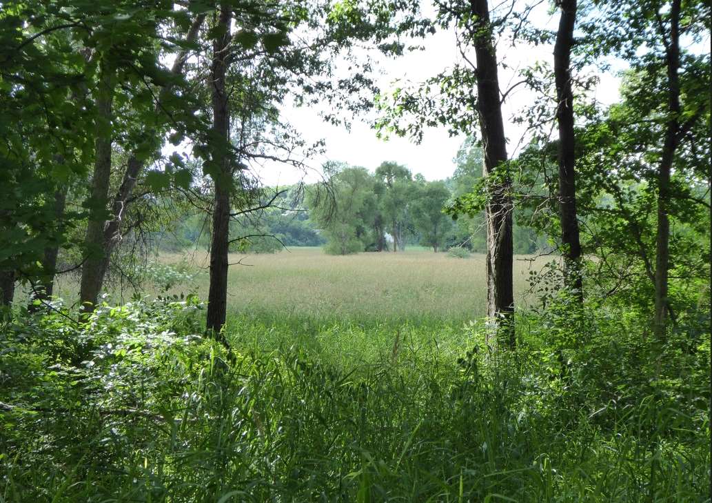 Poking Around in Portage Wisconsin: August 2019