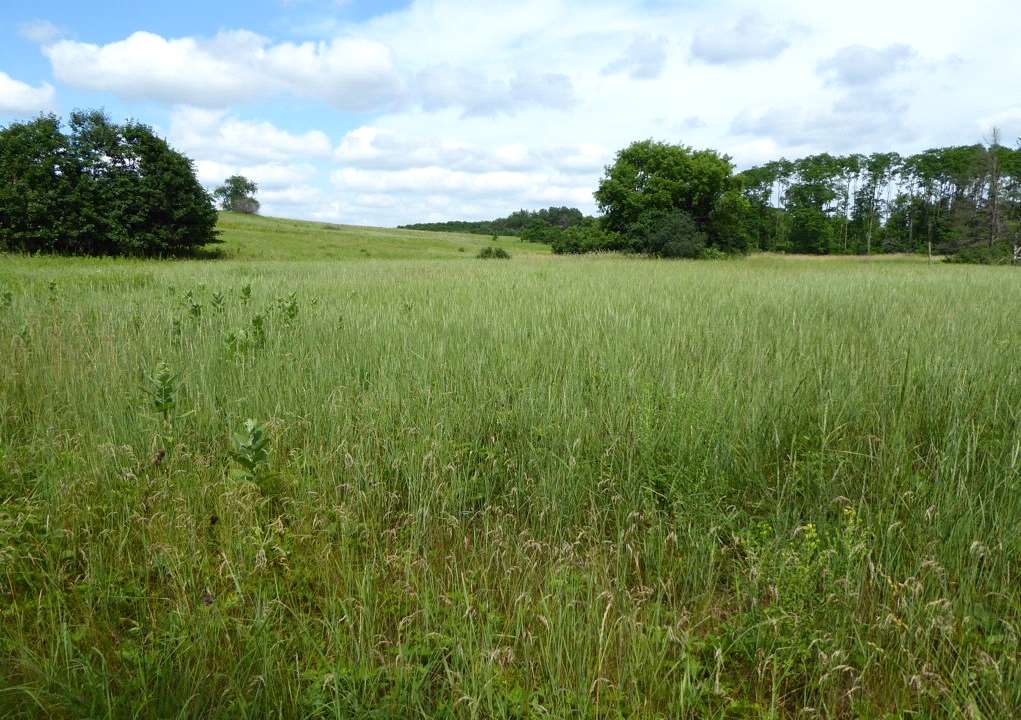 Poking Around in Portage Wisconsin: August 2019