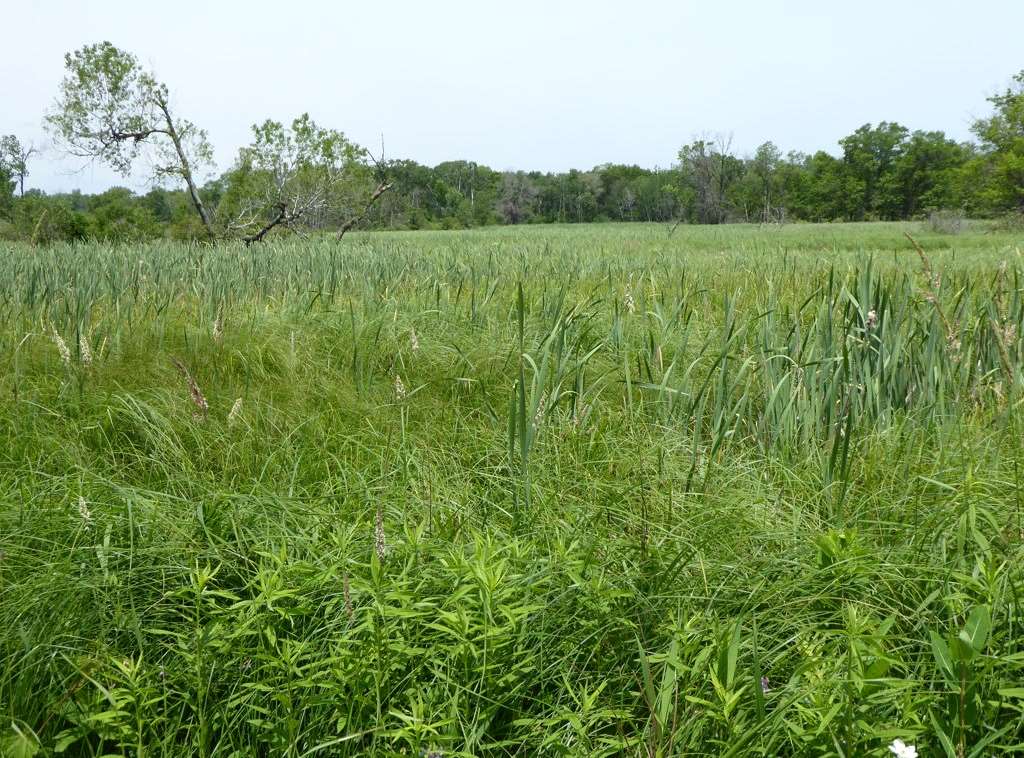 Poking Around in Portage Wisconsin: August 2019