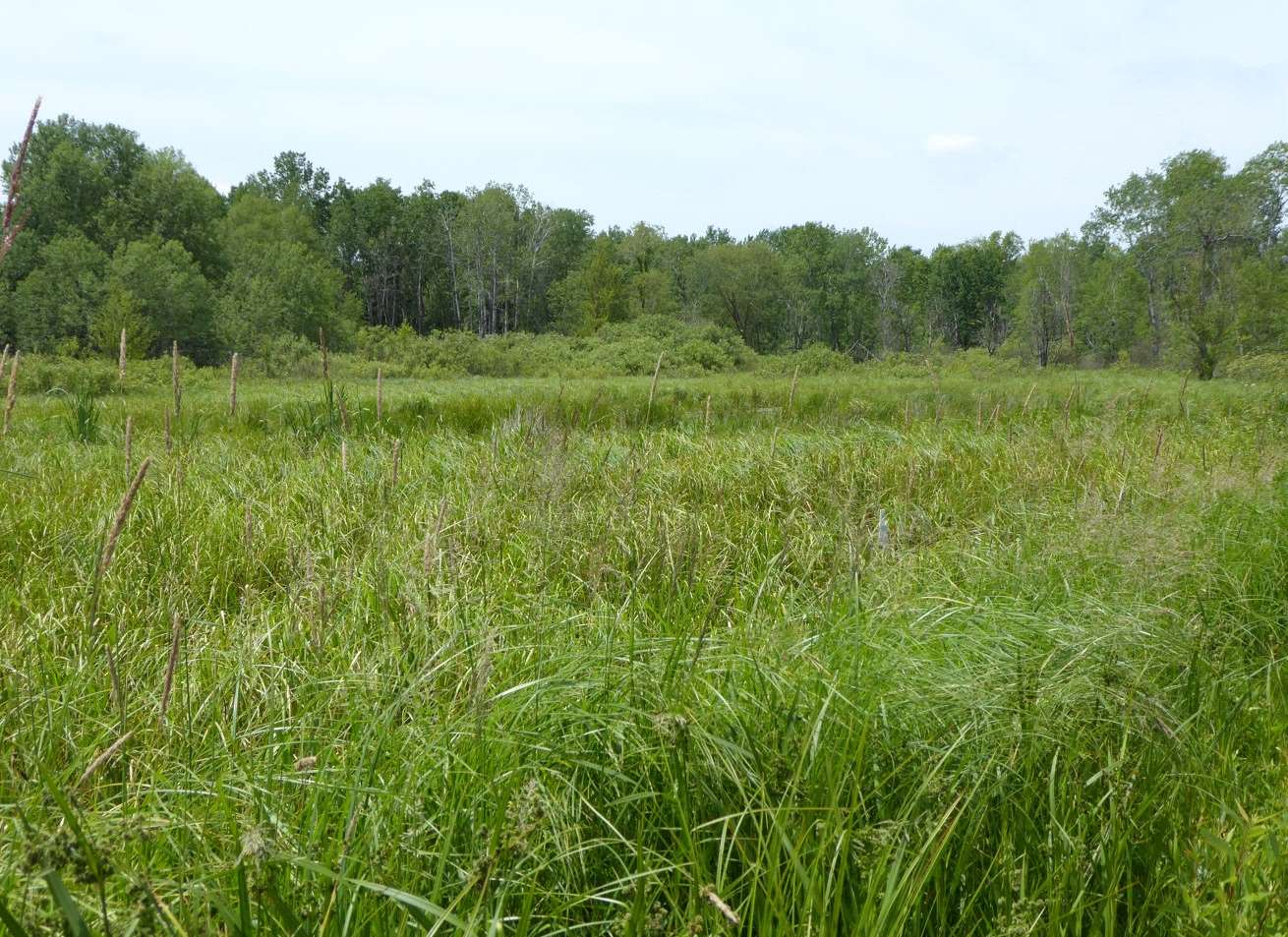 Poking Around in Portage Wisconsin: August 2019