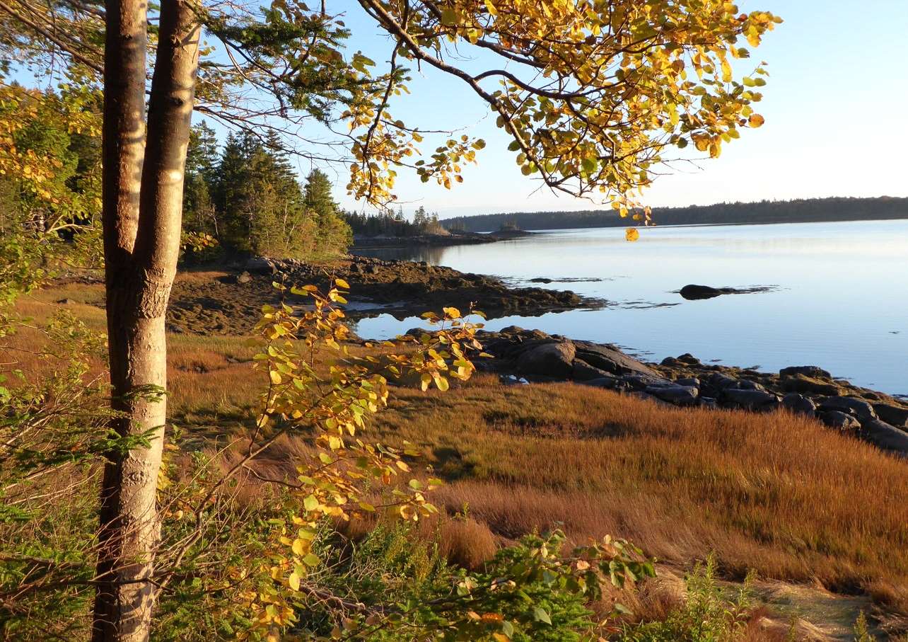 Poking Around in Maine --- The Lubec Loop: by Craig Mains