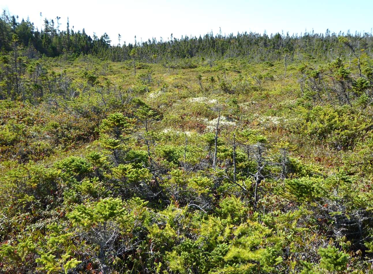 Poking Around in Maine --- The Lubec Loop: by Craig Mains