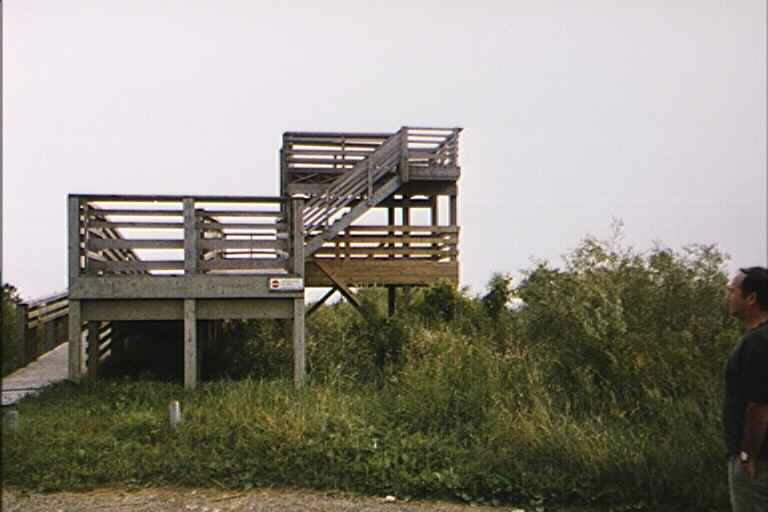 niyanquing.JPG (38606 bytes)