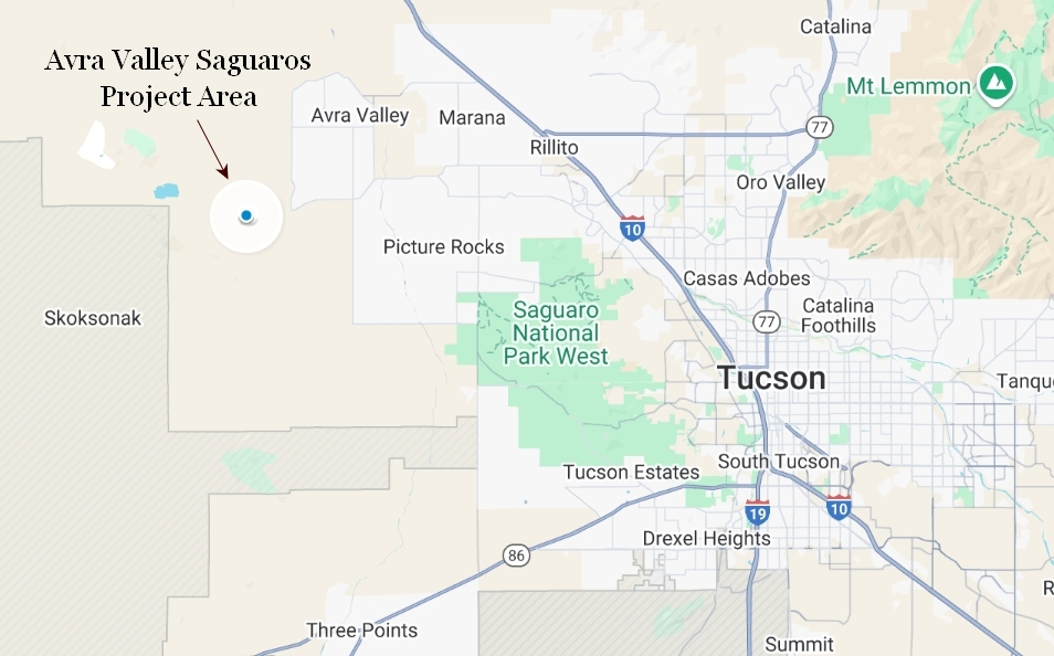 Area Map showing the Saguaro project area Anchored to the Northeast by Shiva