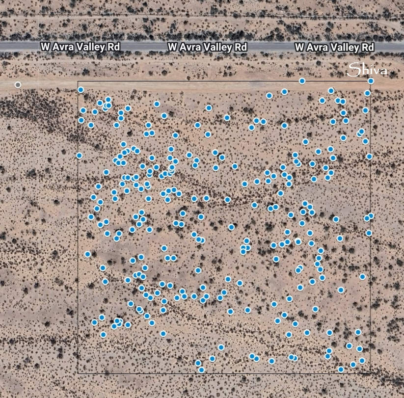 Detail map of Saguaro project area showing the location of all 259 Saguaros s and project boundary.